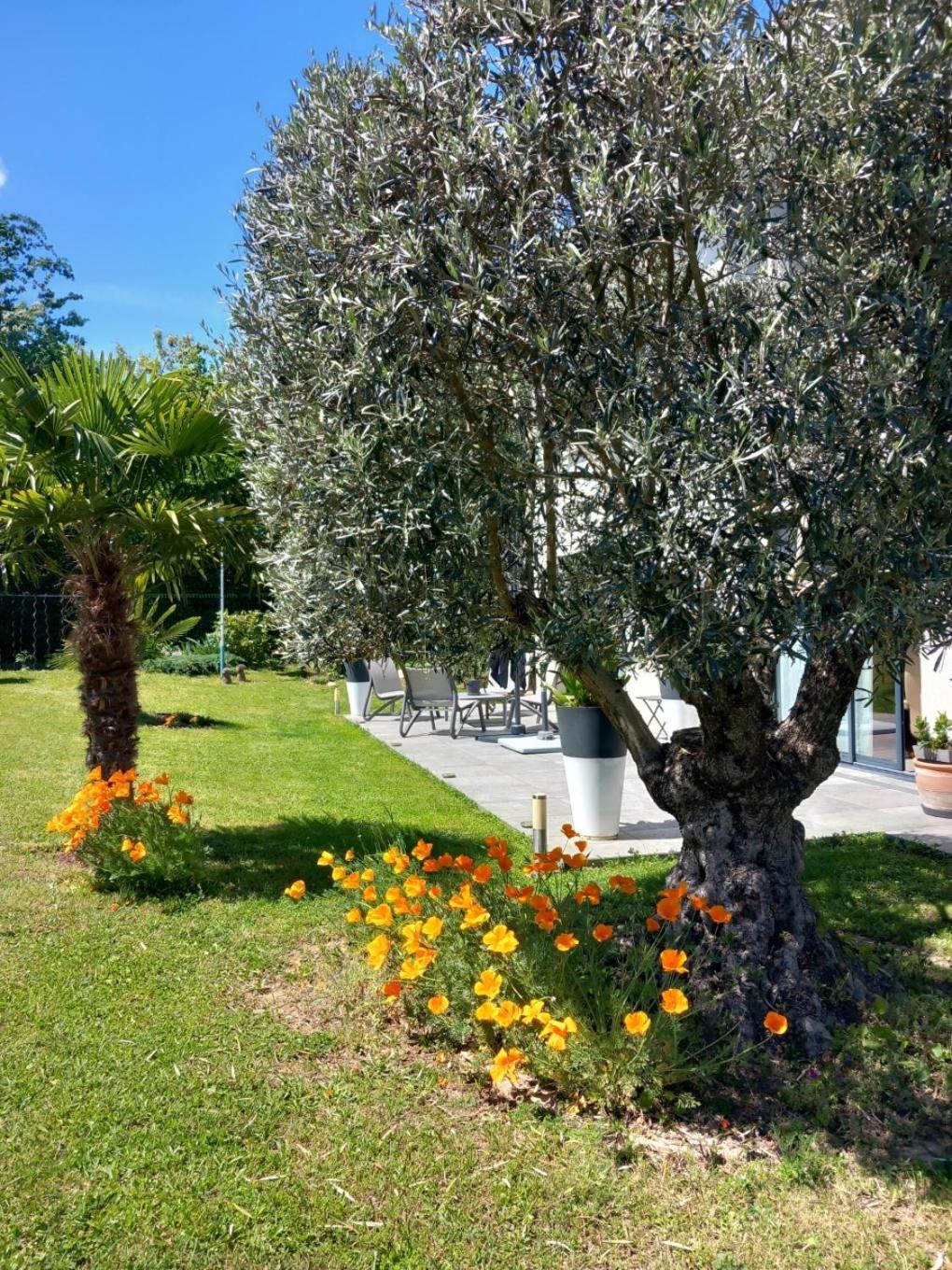 דירות Mornant L'Olivier מראה חיצוני תמונה